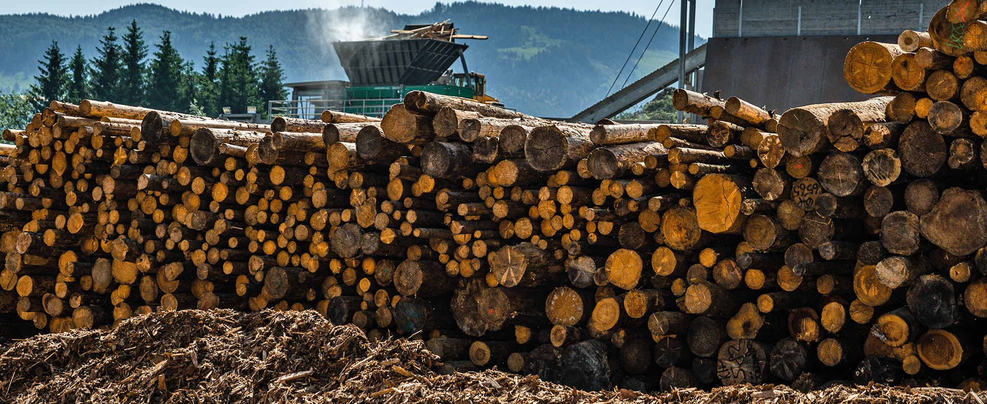 Erzeugung von Biomasse bei Pölzleitner Holz in Abtenau