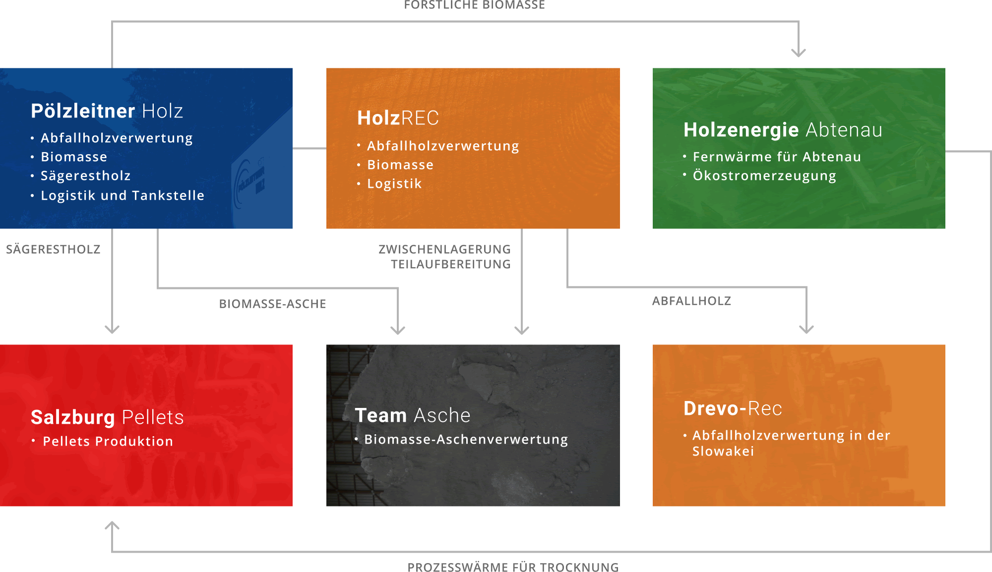 Unternehmensstruktur von Pölzleitner Holz